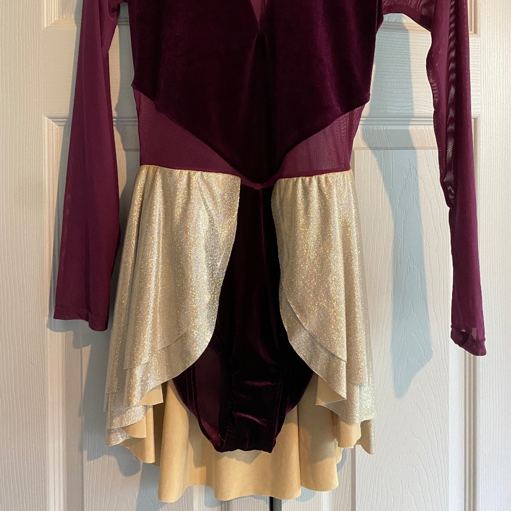 Adult Lyrical Dance Costume - image 2
